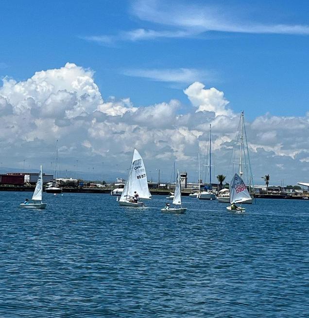 Collections – CNSJ SAILING